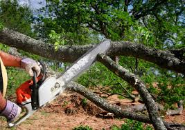 Best Lot and Land Clearing  in Russell, GA