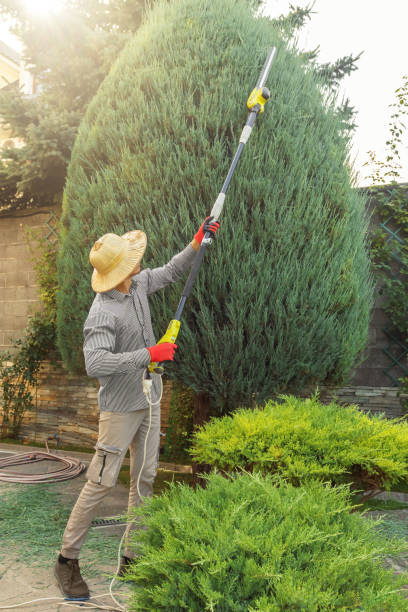 Best Lawn Watering Services  in Russell, GA